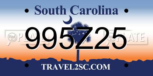 995Z25 South Carolina License Plate