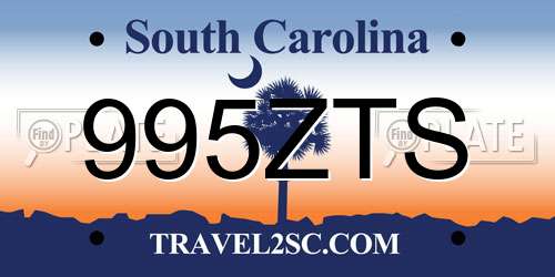 995ZTS South Carolina License Plate