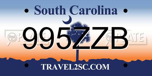 995ZZB South Carolina License Plate