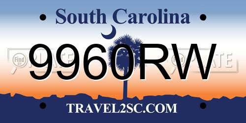 9960RW South Carolina License Plate