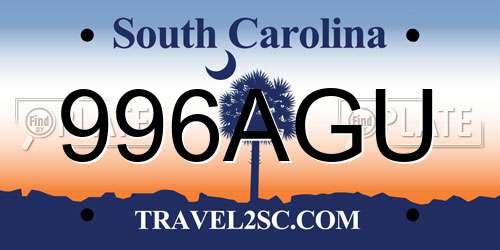 996AGU South Carolina License Plate