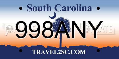 998ANY South Carolina License Plate