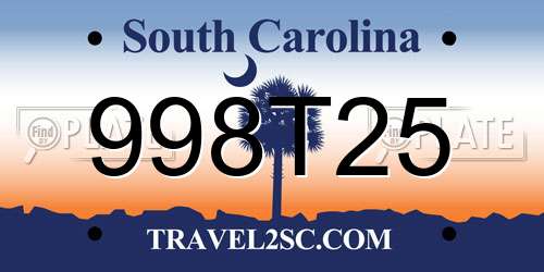 998T25 South Carolina License Plate