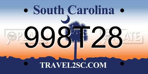 998T28 South Carolina License Plate