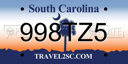 998TZ5 South Carolina License Plate