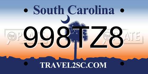 998TZ8 South Carolina License Plate