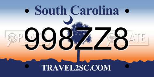 998ZZ8 South Carolina License Plate