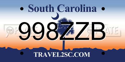 998ZZB South Carolina License Plate