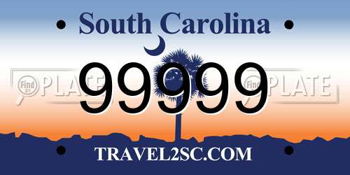 99999 South Carolina License Plate