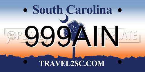 999AIN South Carolina License Plate