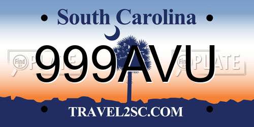 999AVU South Carolina License Plate