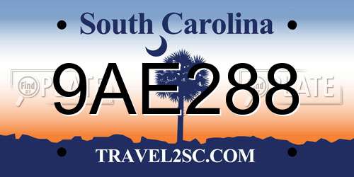 9AE288 South Carolina License Plate