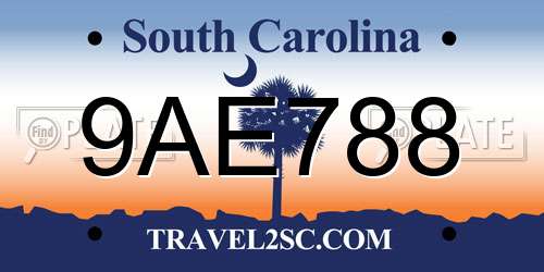 9AE788 South Carolina License Plate