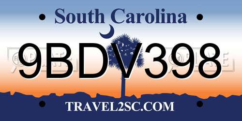 9BDV398 South Carolina License Plate