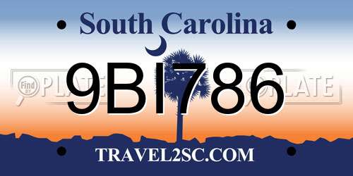 9BI786 South Carolina License Plate