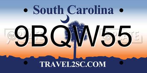 9BQW55 South Carolina License Plate