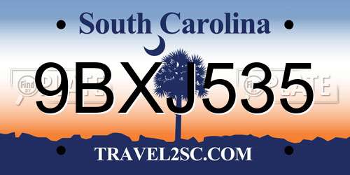 9BXJ535 South Carolina License Plate