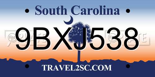 9BXJ538 South Carolina License Plate
