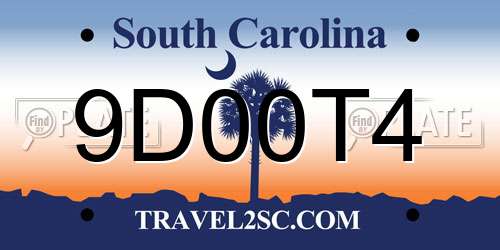 9D00T4 South Carolina License Plate