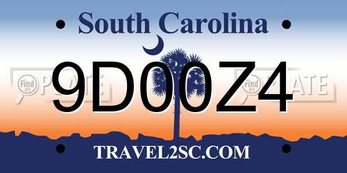 9D00Z4 South Carolina License Plate
