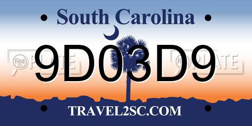 9D03D9 South Carolina License Plate