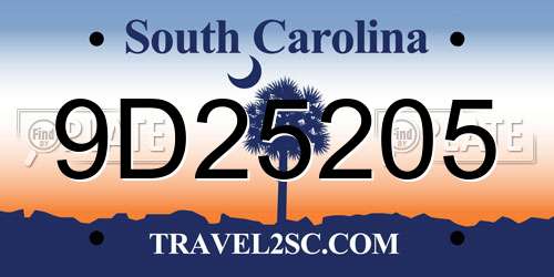 9D25205 South Carolina License Plate