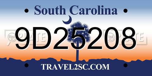 9D25208 South Carolina License Plate