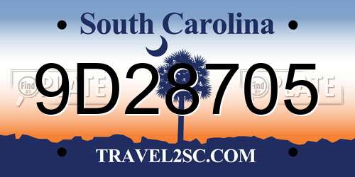 9D28705 South Carolina License Plate