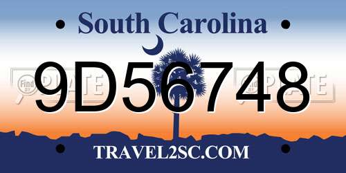 9D56748 South Carolina License Plate