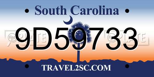 9D59733 South Carolina License Plate