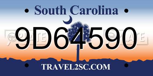 9D64590 South Carolina License Plate