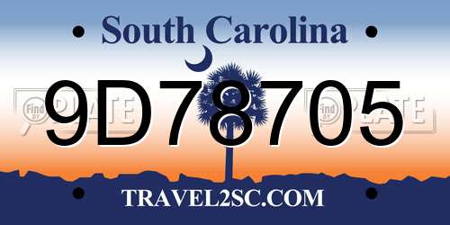 9D78705 South Carolina License Plate