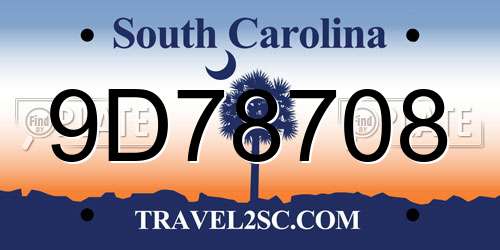 9D78708 South Carolina License Plate