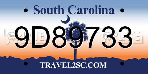 9D89733 South Carolina License Plate