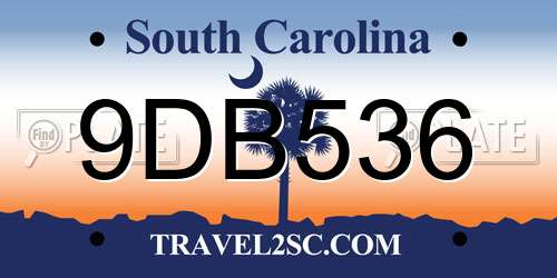 9DB536 South Carolina License Plate