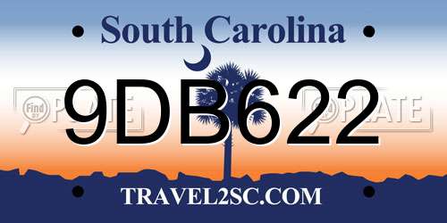 9DB622 South Carolina License Plate