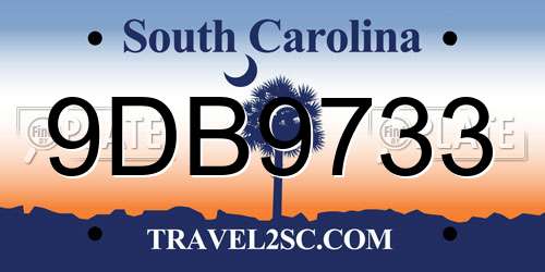 9DB9733 South Carolina License Plate