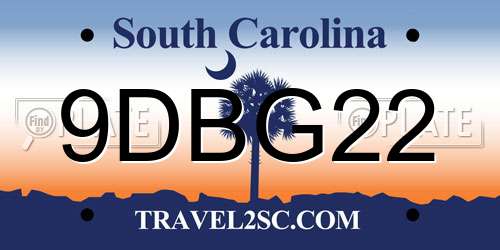 9DBG22 South Carolina License Plate
