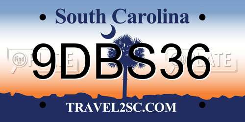 9DBS36 South Carolina License Plate