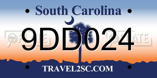 9DD024 South Carolina License Plate