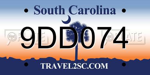 9DD074 South Carolina License Plate