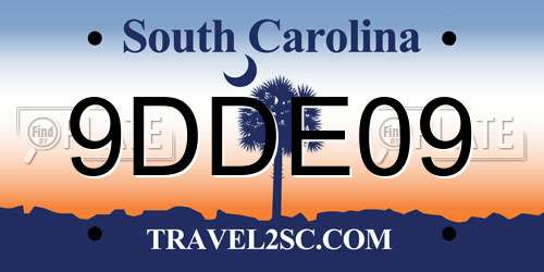 9DDE09 South Carolina License Plate