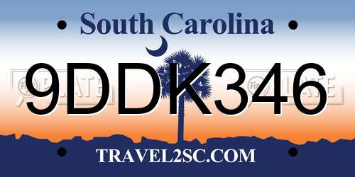 9DDK346 South Carolina License Plate