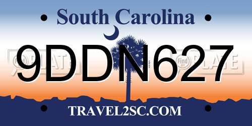9DDN627 South Carolina License Plate