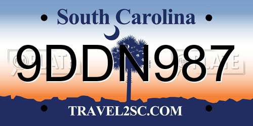 9DDN987 South Carolina License Plate