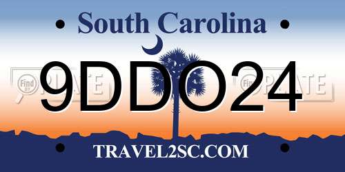 9DDO24 South Carolina License Plate