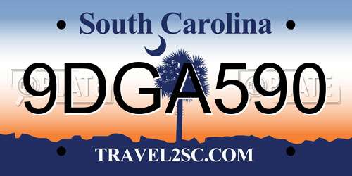 9DGA590 South Carolina License Plate