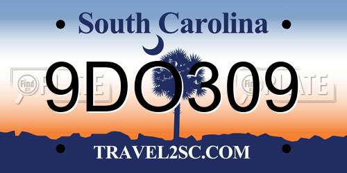 9DO309 South Carolina License Plate