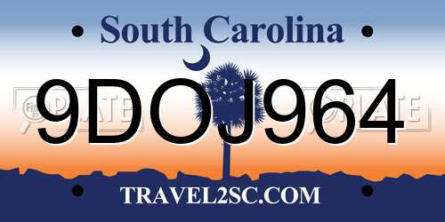 9DOJ964 South Carolina License Plate