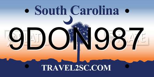 9DON987 South Carolina License Plate